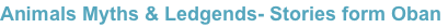 shapeimage_3_link_22