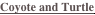 shapeimage_7_link_21