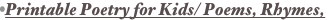 shapeimage_3_link_19